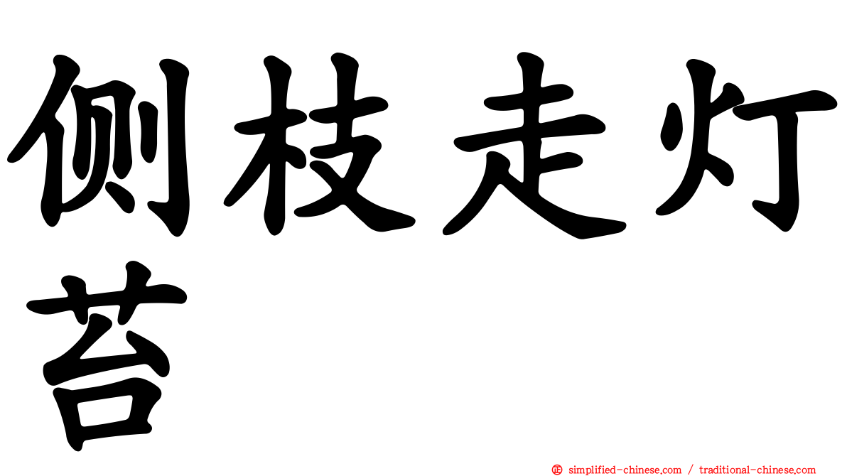 侧枝走灯苔