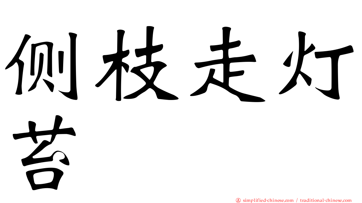 侧枝走灯苔