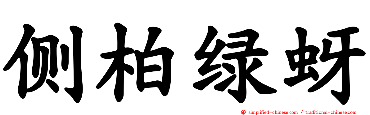 侧柏绿蚜