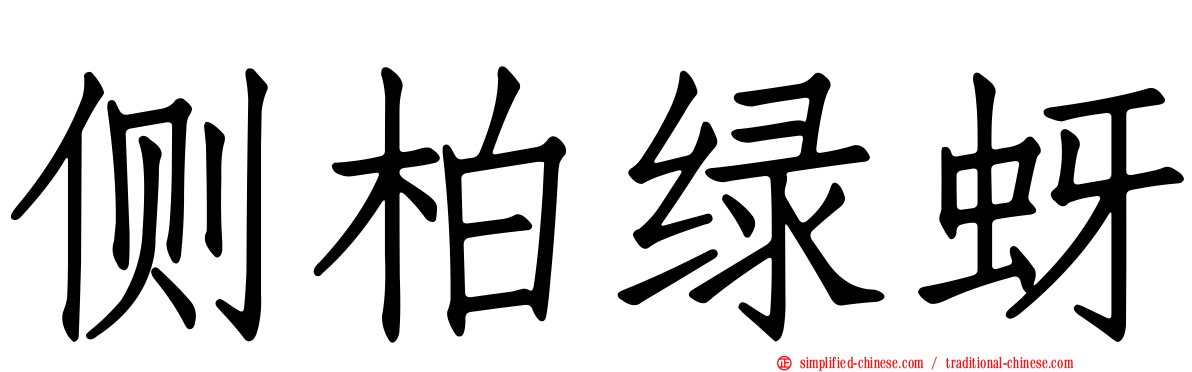 侧柏绿蚜
