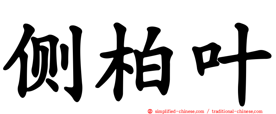 侧柏叶