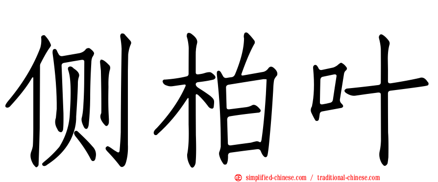 侧柏叶