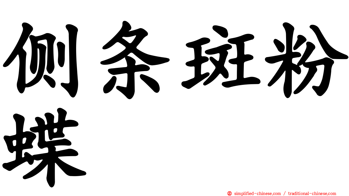 侧条斑粉蝶