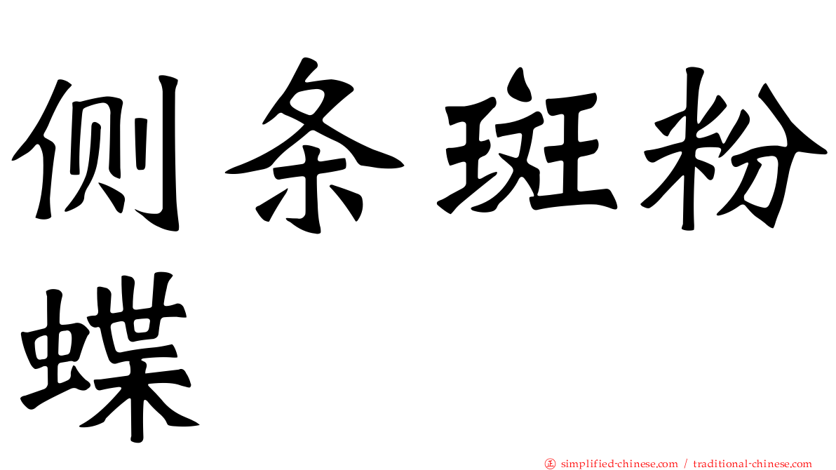 侧条斑粉蝶