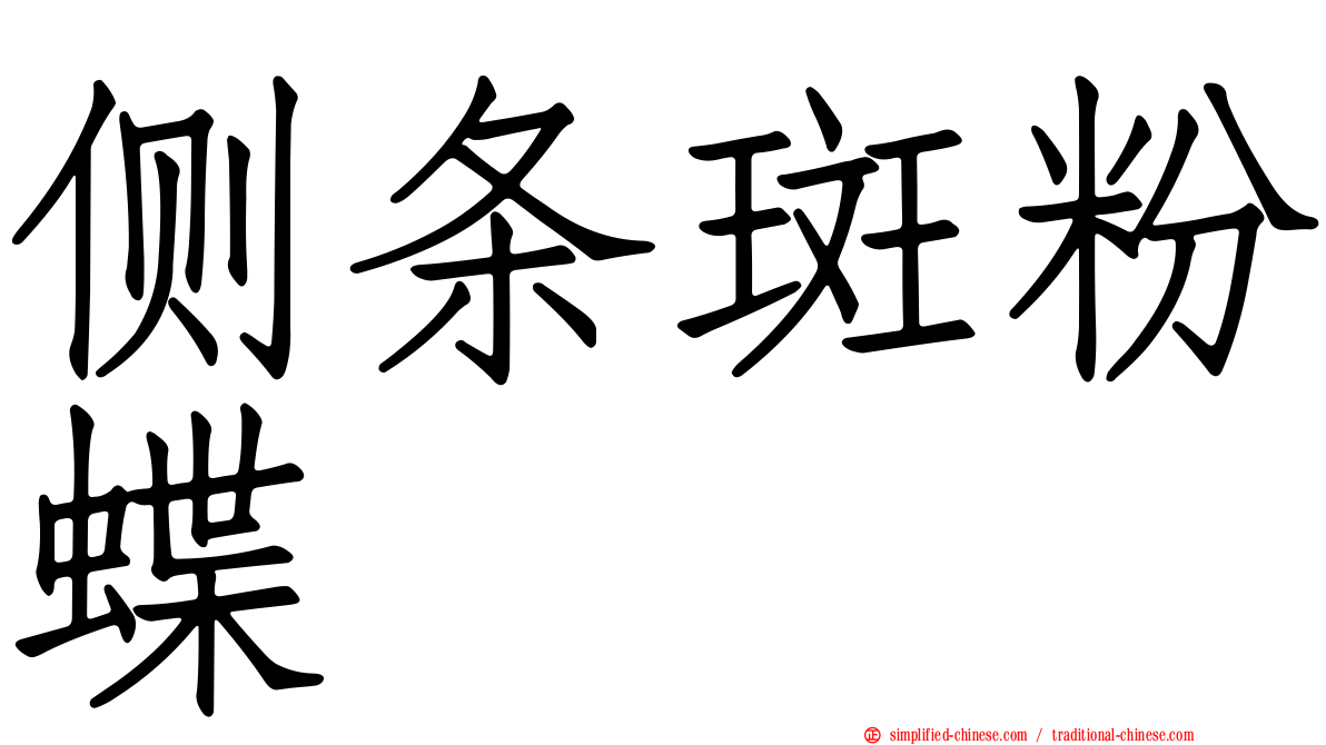 侧条斑粉蝶