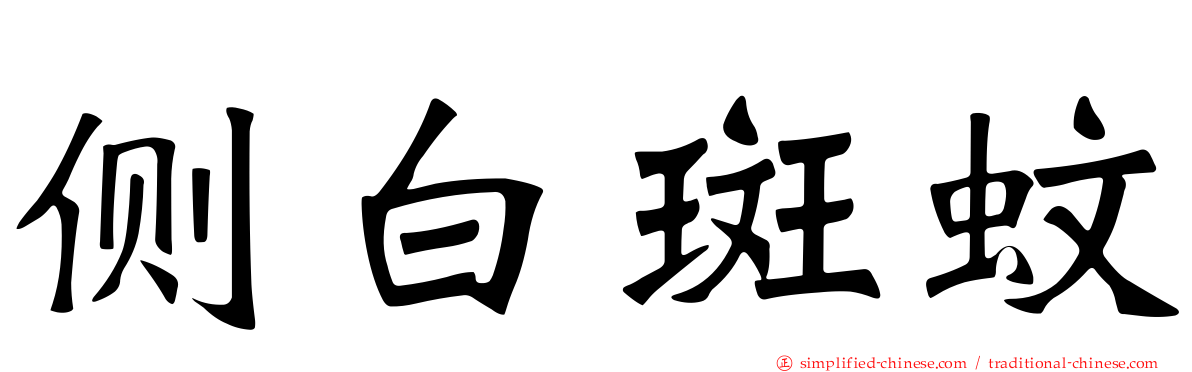 侧白斑蚊