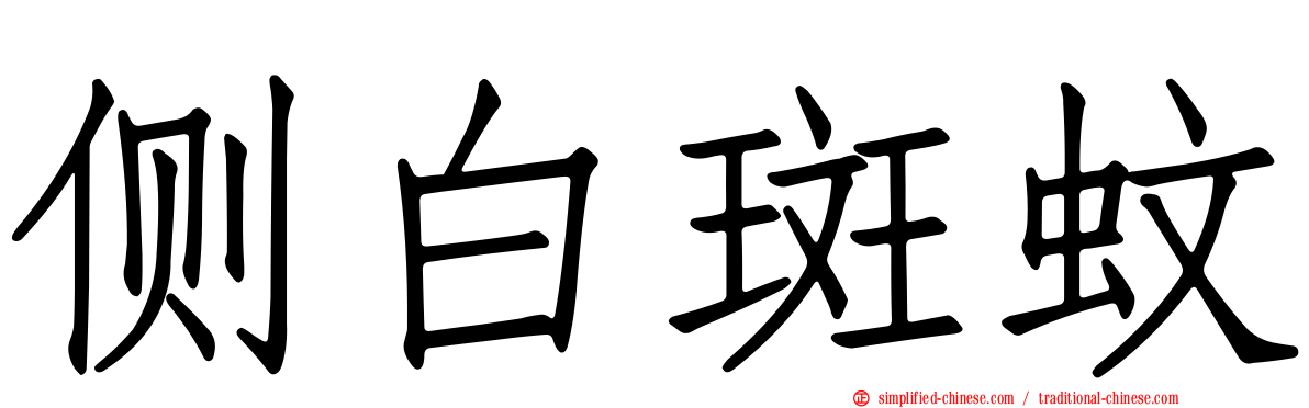 侧白斑蚊