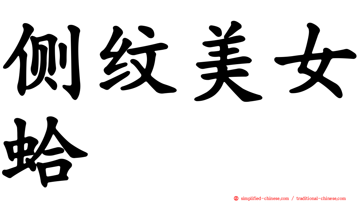 侧纹美女蛤