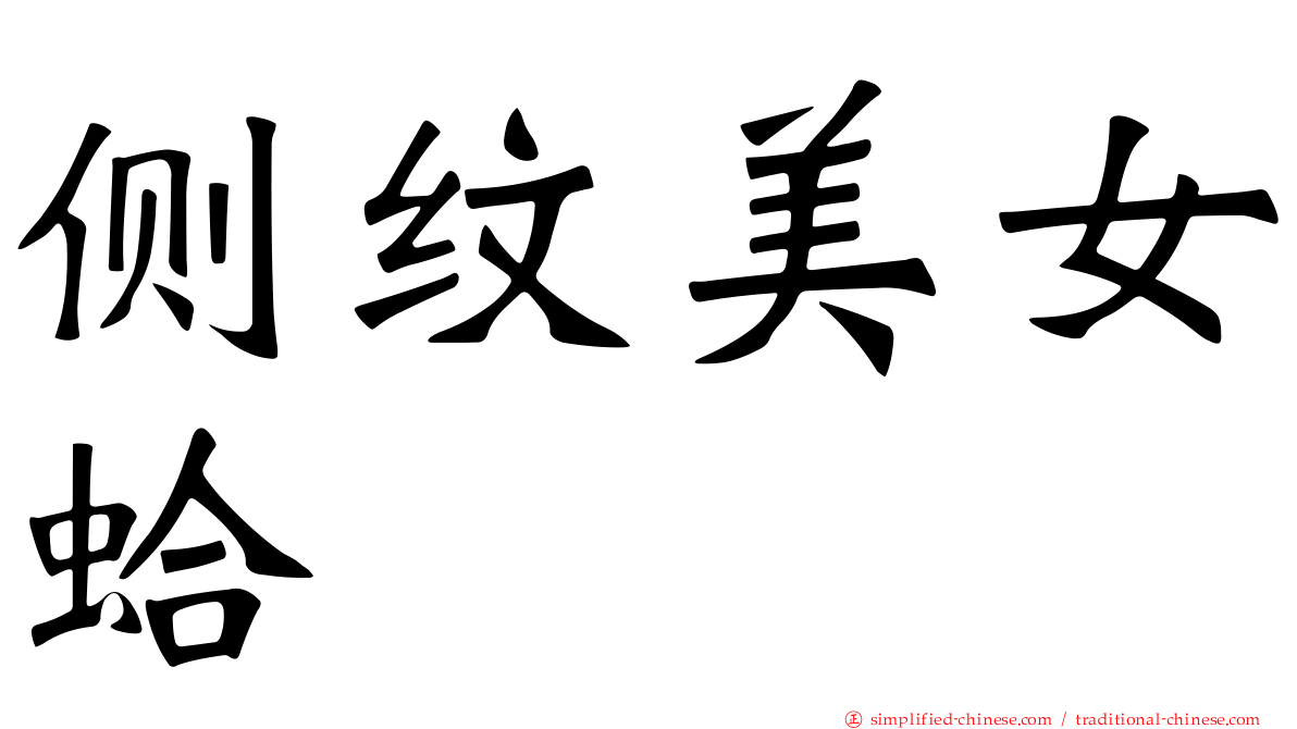 侧纹美女蛤