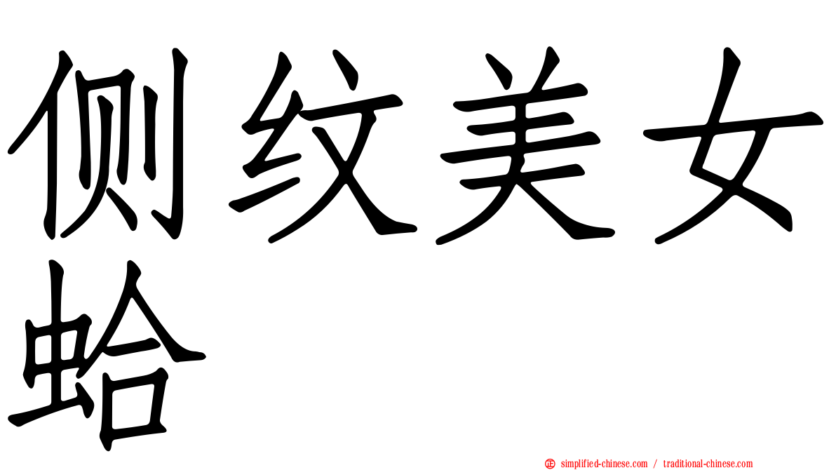 侧纹美女蛤