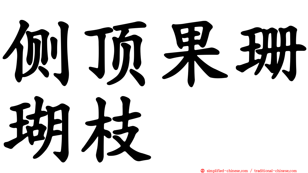 侧顶果珊瑚枝