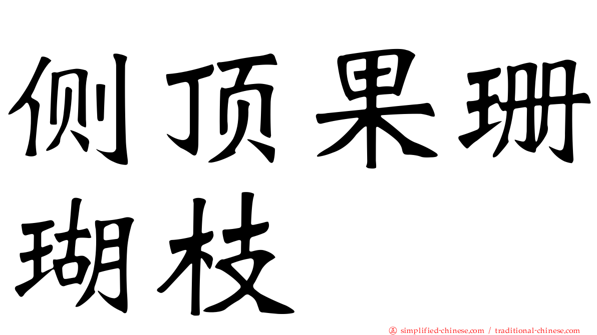 侧顶果珊瑚枝