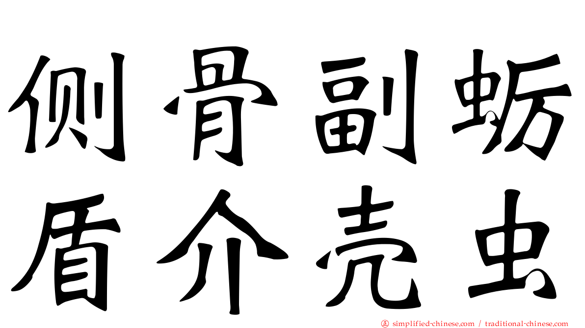 侧骨副蛎盾介壳虫