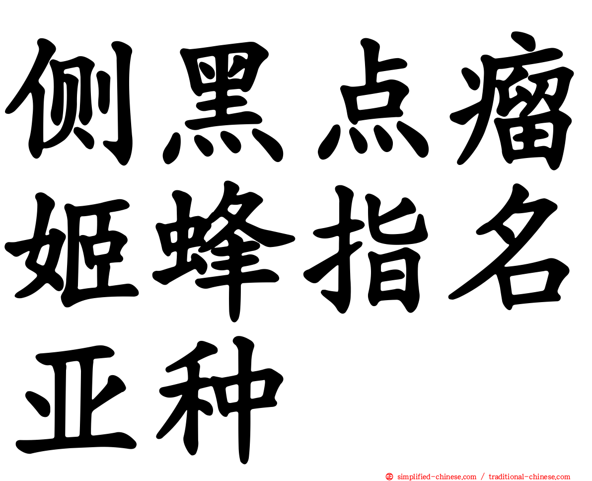 侧黑点瘤姬蜂指名亚种