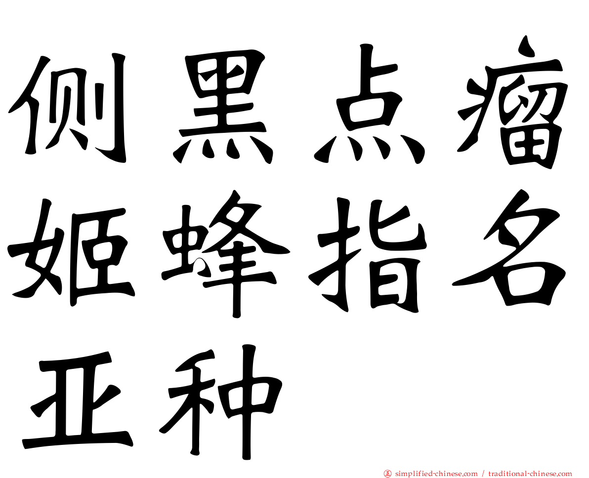 侧黑点瘤姬蜂指名亚种