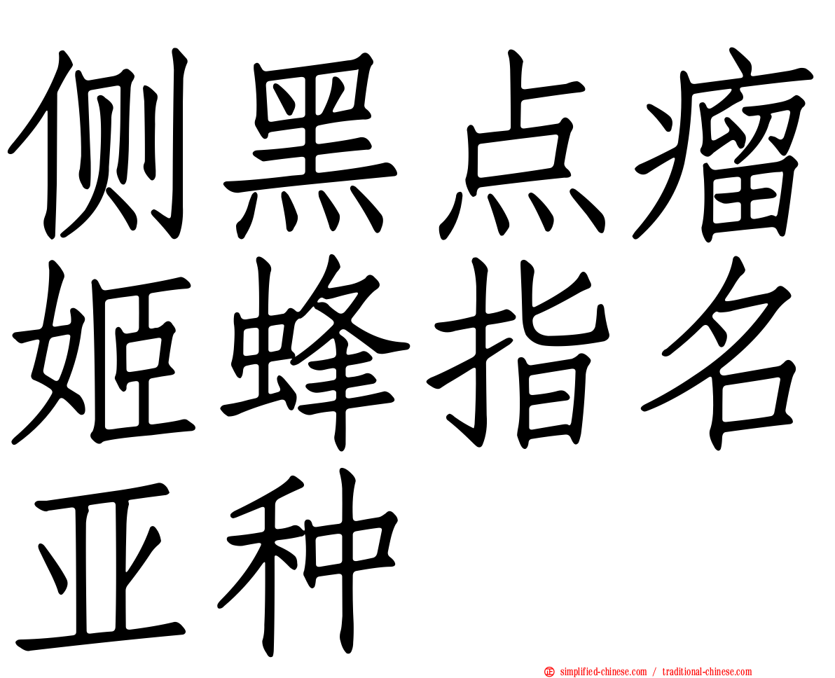 侧黑点瘤姬蜂指名亚种