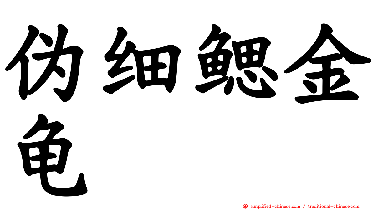 伪细鳃金龟