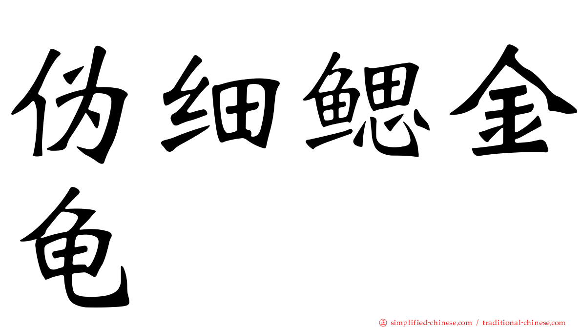伪细鳃金龟