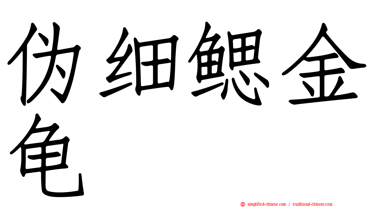 伪细鳃金龟