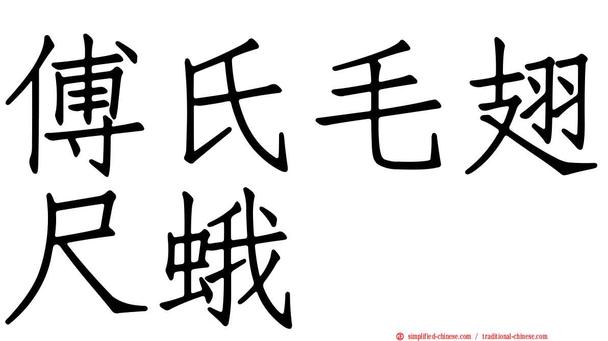 傅氏毛翅尺蛾