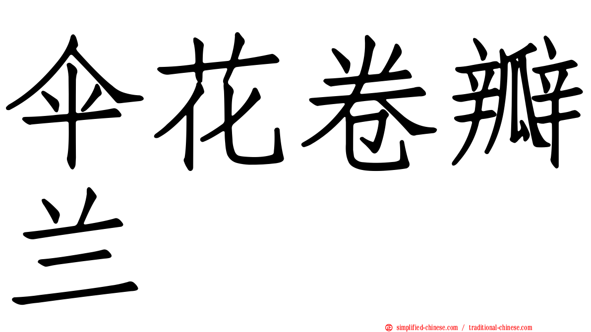 伞花卷瓣兰