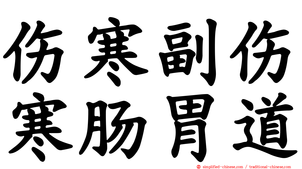 伤寒副伤寒肠胃道
