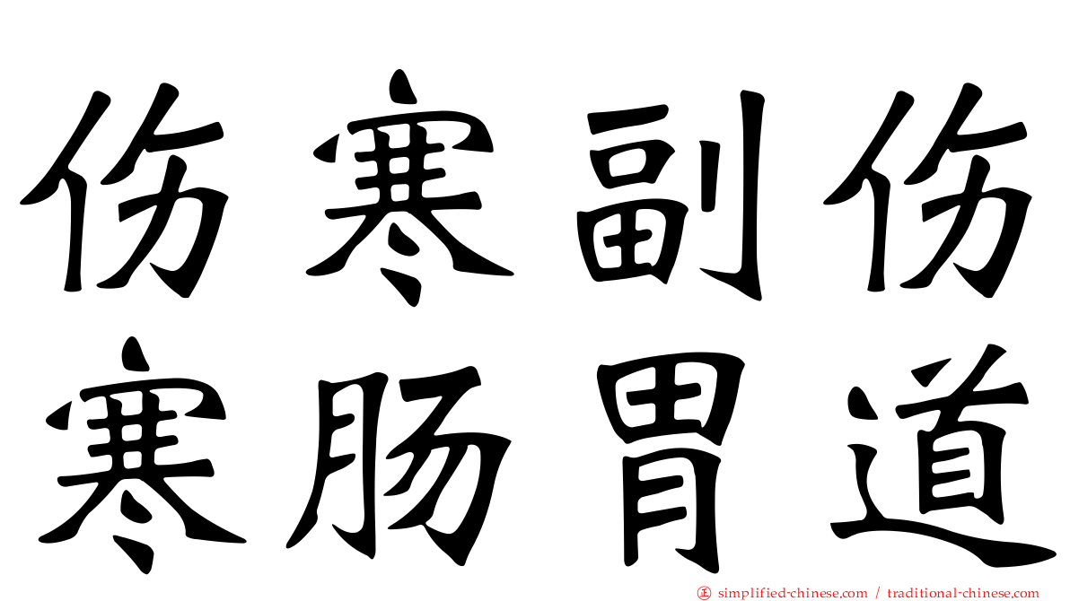 伤寒副伤寒肠胃道