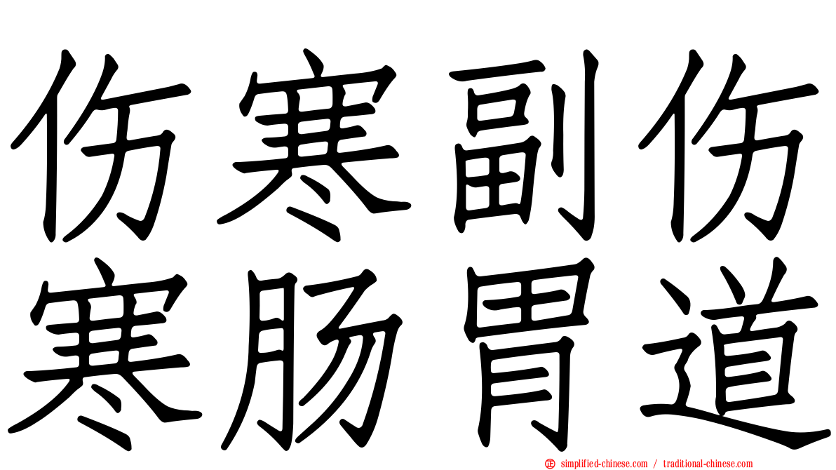 伤寒副伤寒肠胃道
