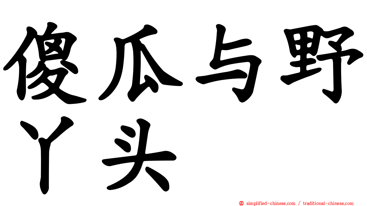 傻瓜与野丫头