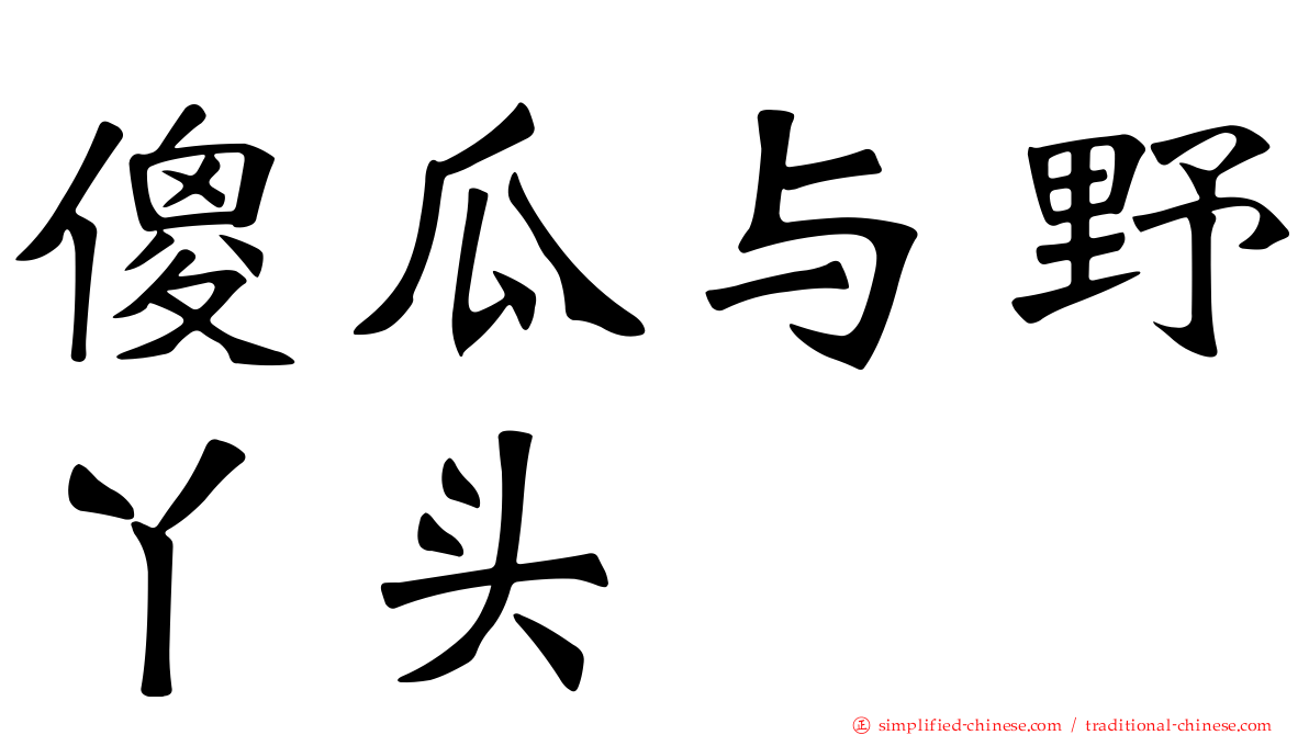 傻瓜与野丫头