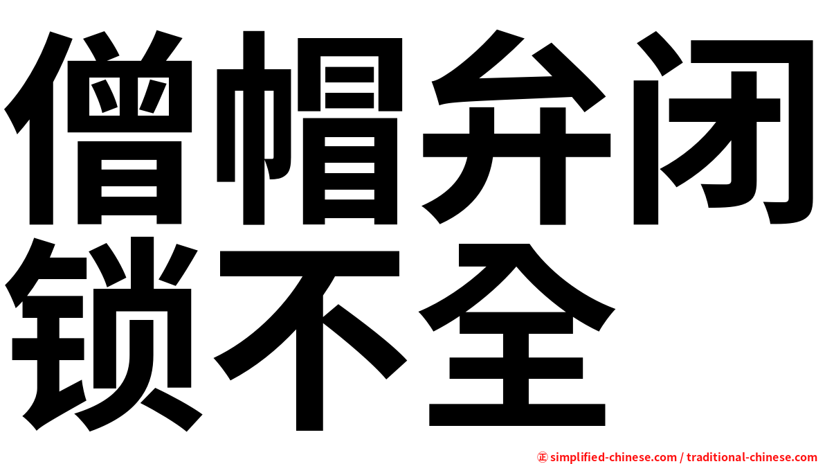 僧帽弁闭锁不全