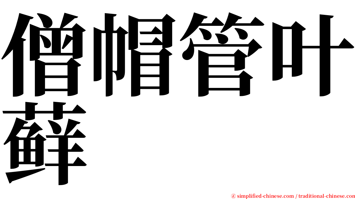 僧帽管叶藓 serif font
