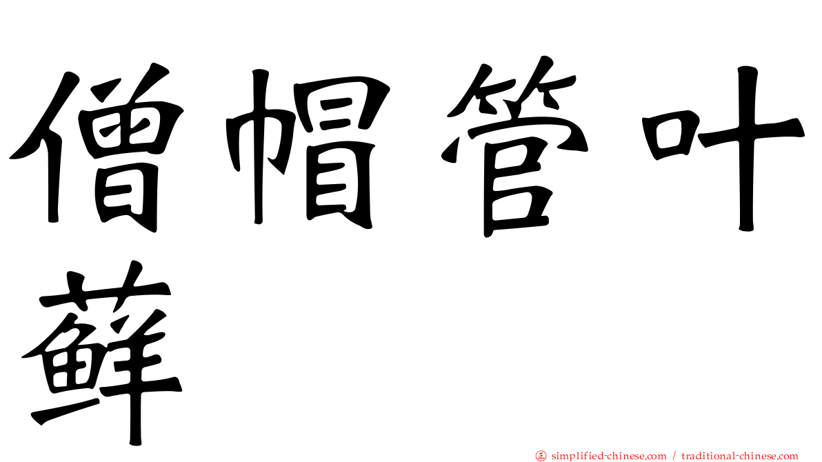 僧帽管叶藓