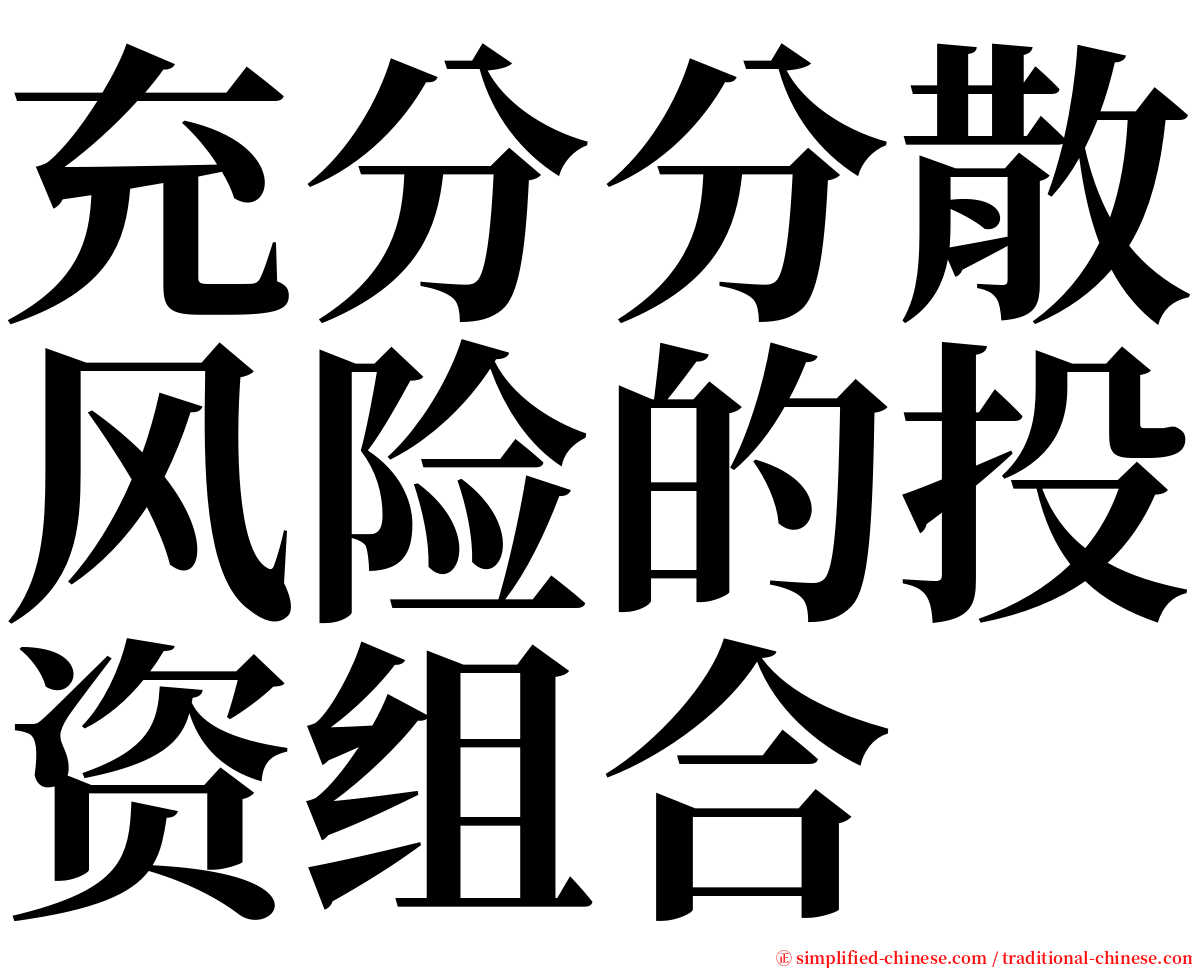 充分分散风险的投资组合 serif font