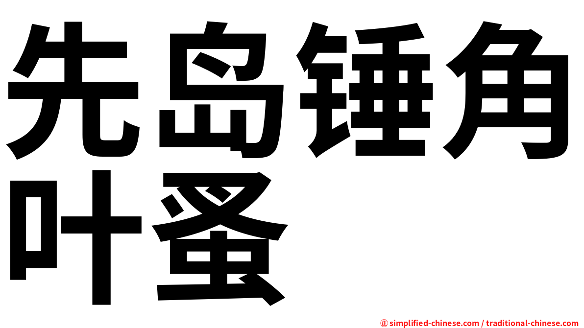 先岛锤角叶蚤