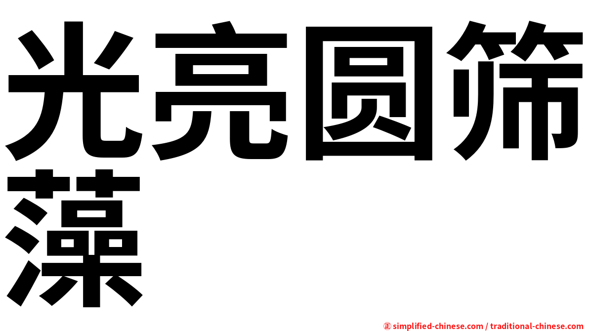 光亮圆筛藻
