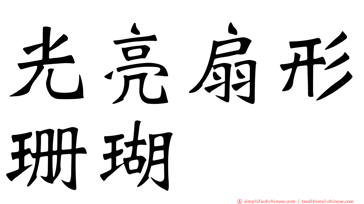 光亮扇形珊瑚
