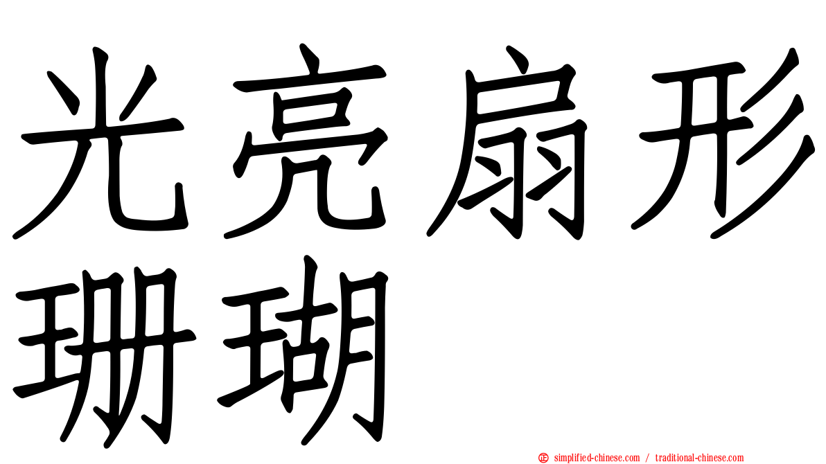 光亮扇形珊瑚