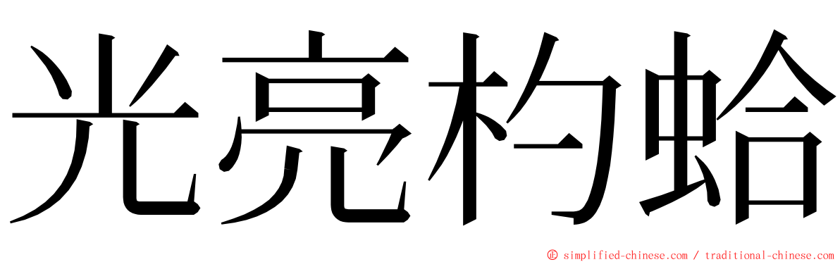 光亮杓蛤 ming font