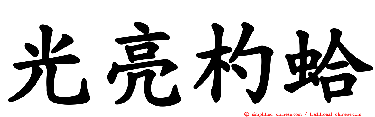 光亮杓蛤