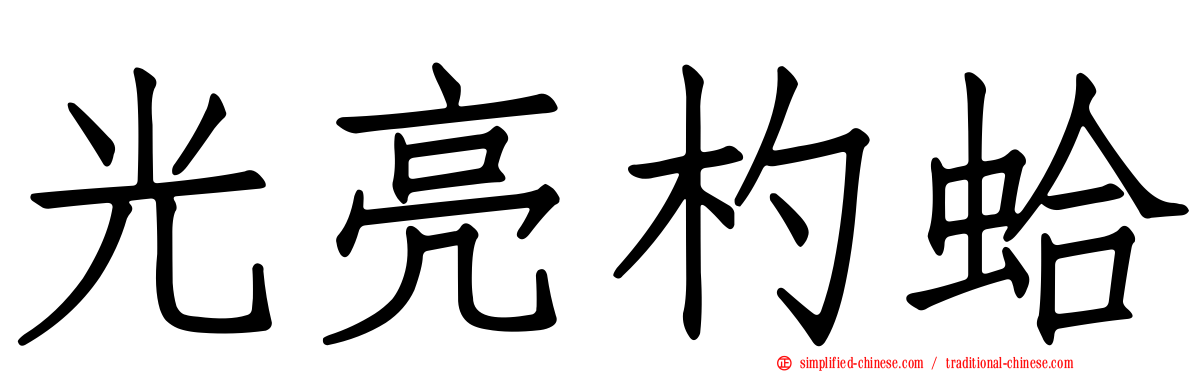 光亮杓蛤