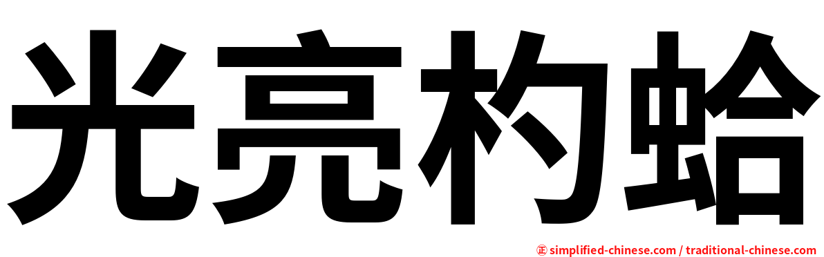光亮杓蛤