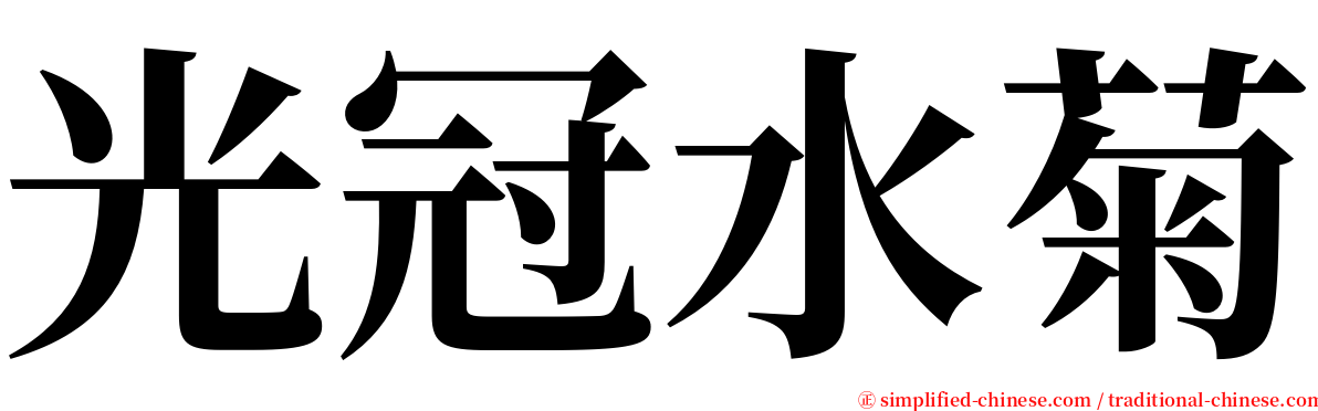 光冠水菊 serif font