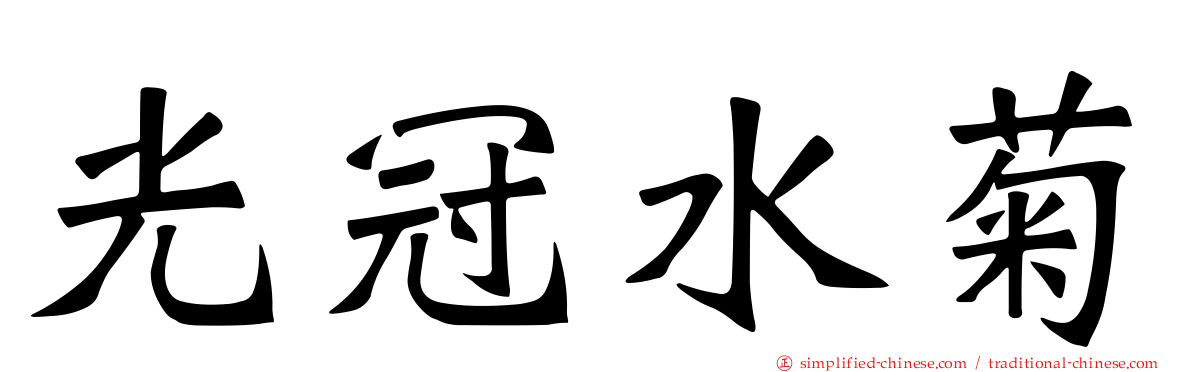 光冠水菊
