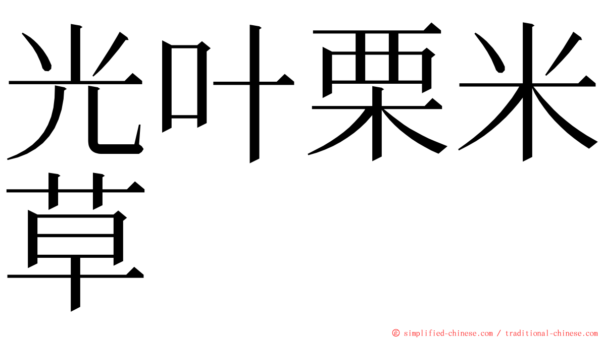 光叶栗米草 ming font