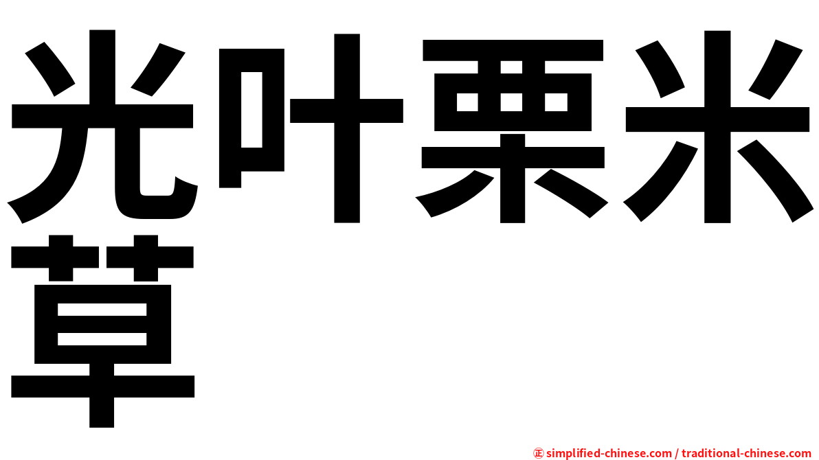 光叶栗米草