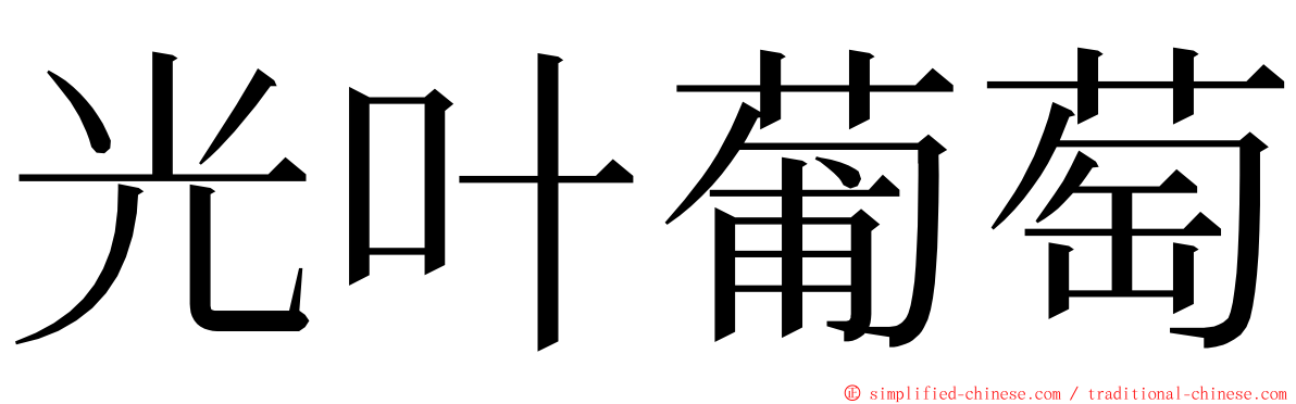 光叶葡萄 ming font
