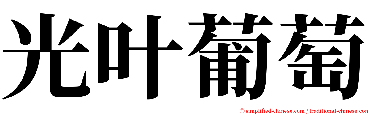 光叶葡萄 serif font