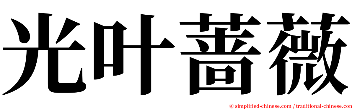 光叶蔷薇 serif font