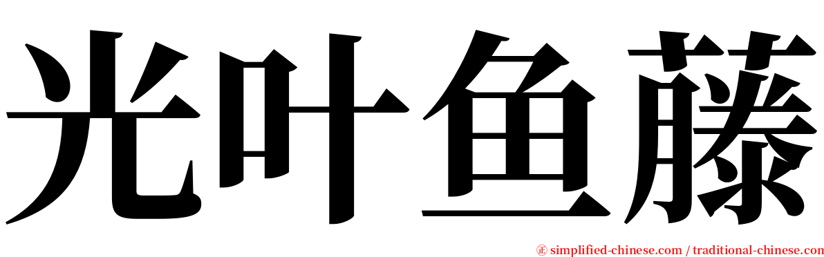 光叶鱼藤 serif font